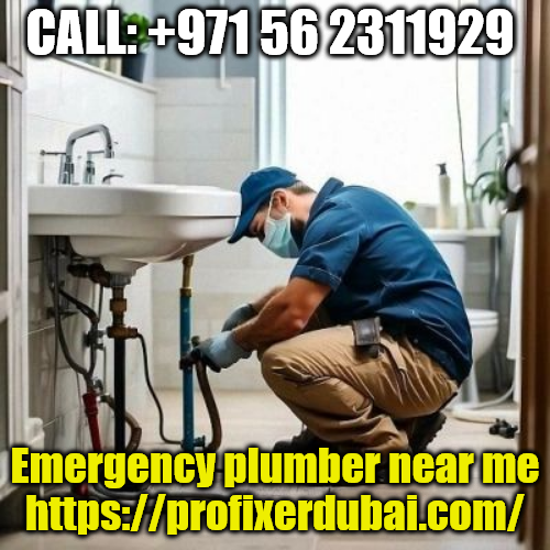 Water pump repair
